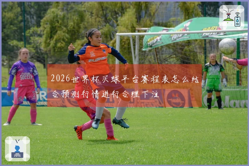 2026世界杯买球平台赛程表怎么结合预测行情进行合理下注