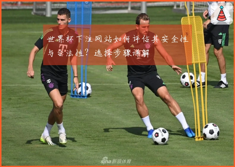 世界杯下注网站如何评估其安全性与合法性？选择步骤详解