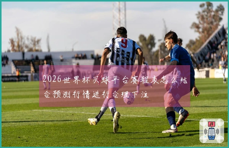 2026世界杯买球平台赛程表怎么结合预测行情进行合理下注