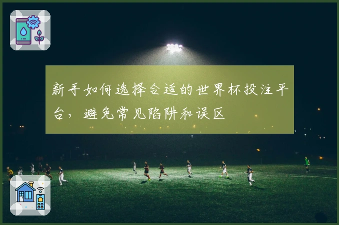 新手如何选择合适的世界杯投注平台，避免常见陷阱和误区