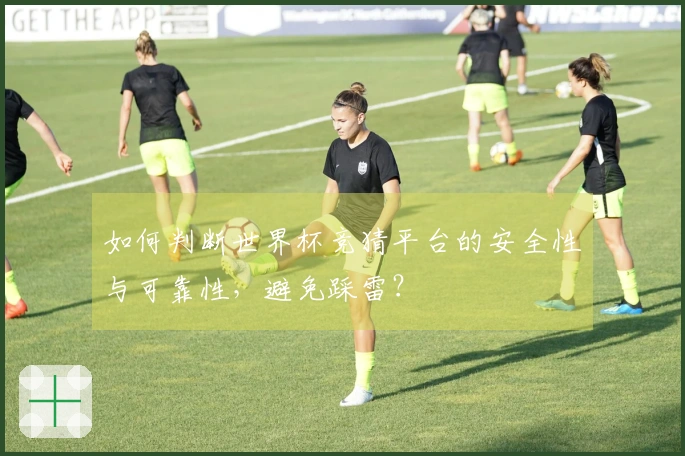 如何判断世界杯竞猜平台的安全性与可靠性，避免踩雷？