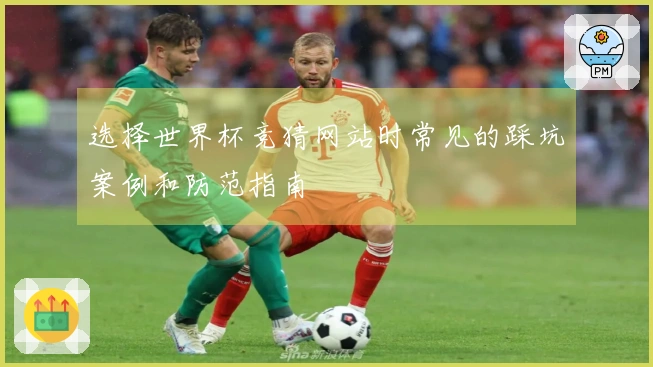 选择世界杯竞猜网站时常见的踩坑案例和防范指南